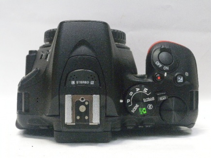 D5600