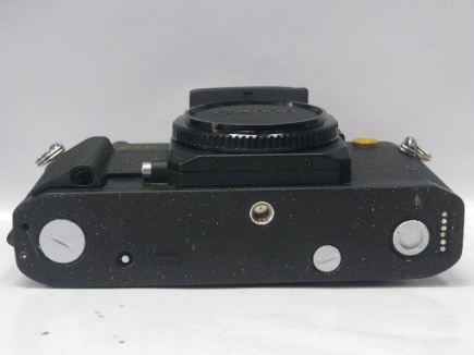 nF-1AE 50周年記念